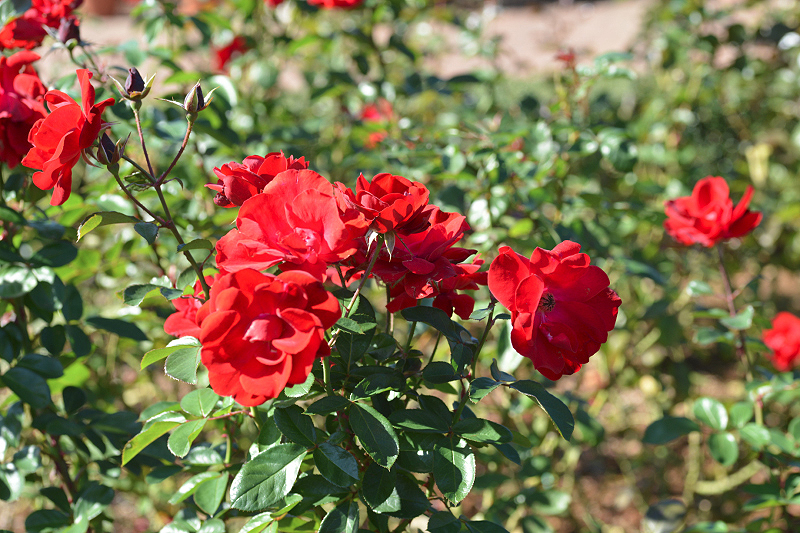 image0102