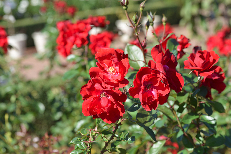 image0103
