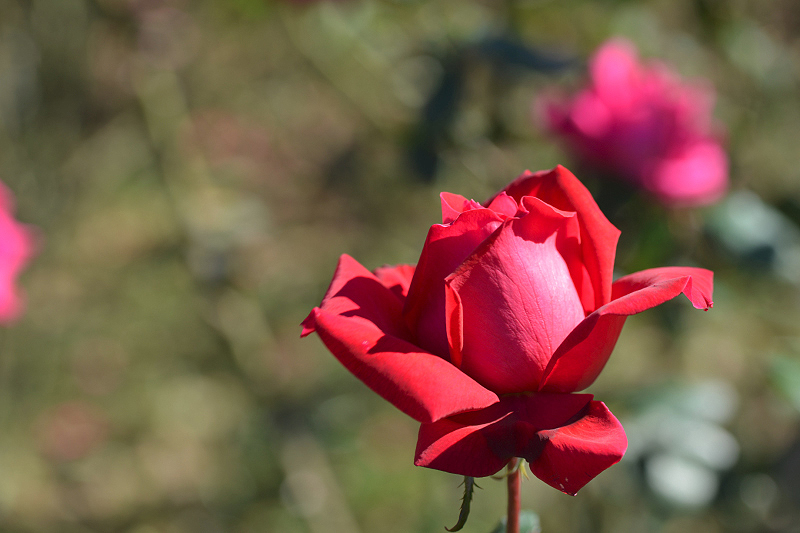 image0110
