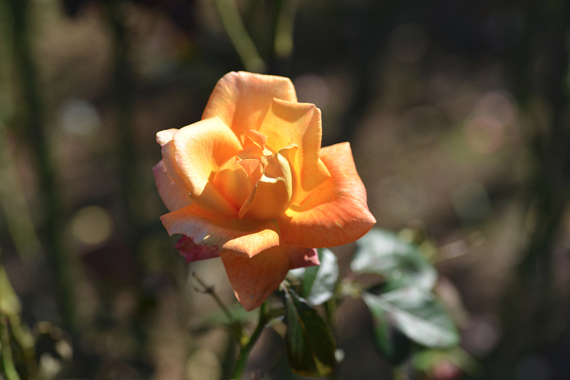 image0111