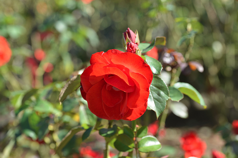 image0117