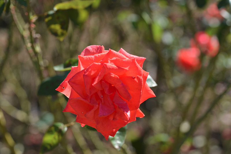 image0121