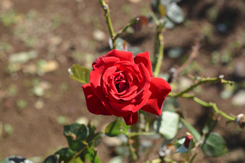 image0122