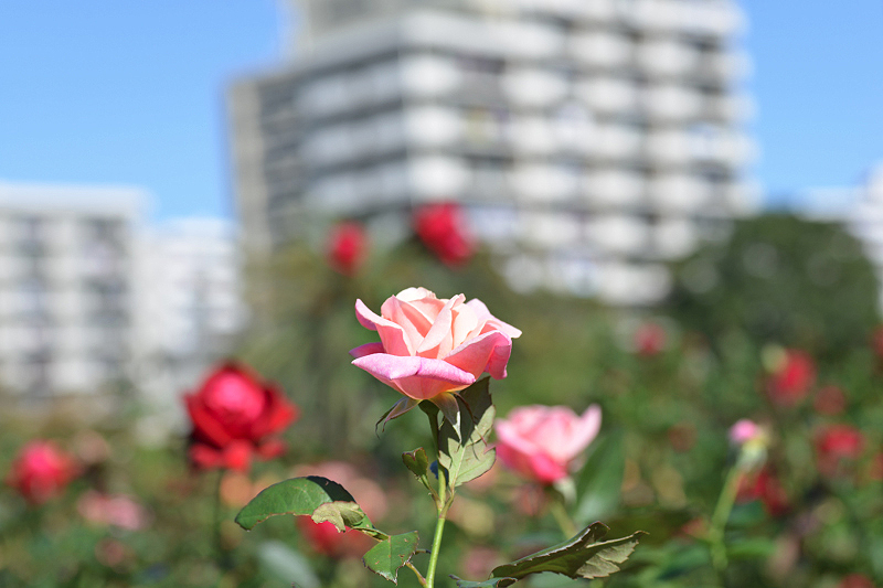 image0126