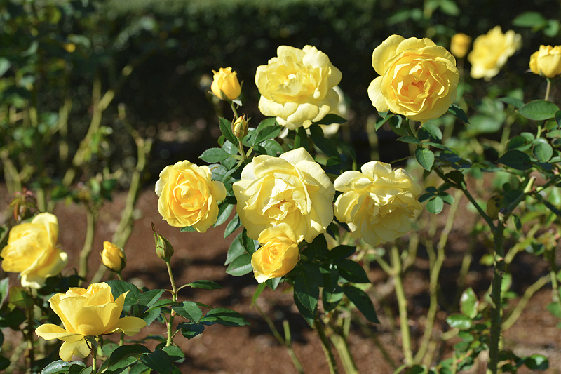 image0127