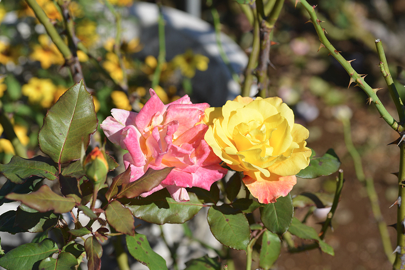 image0134