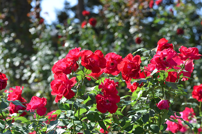 image0141