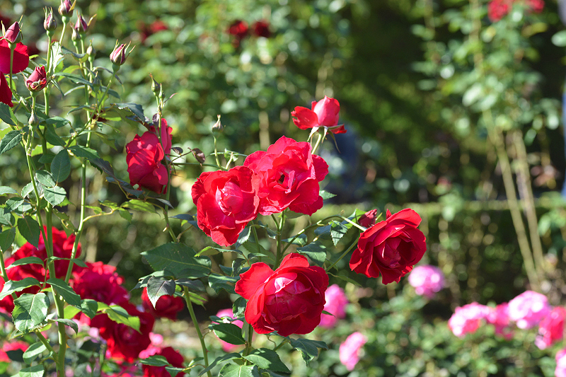image0142