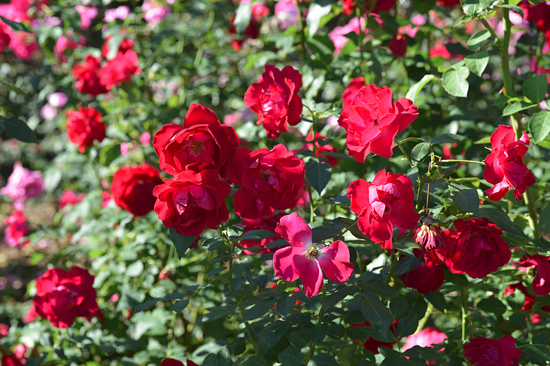 image0143