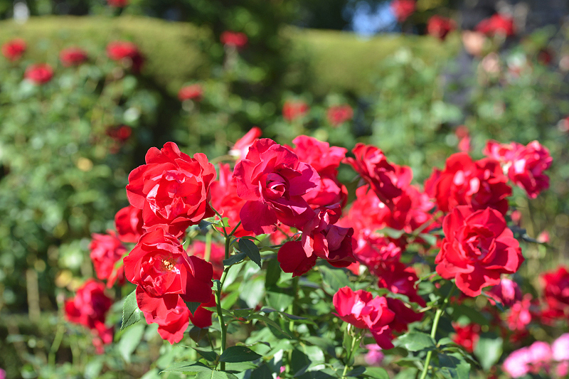image0145