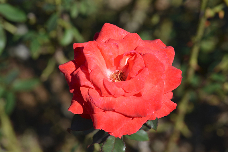 image0146