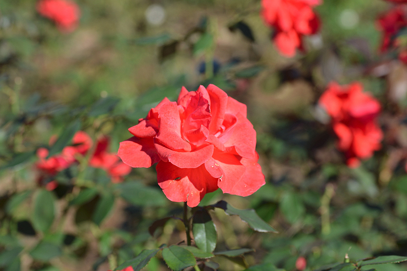 image0147