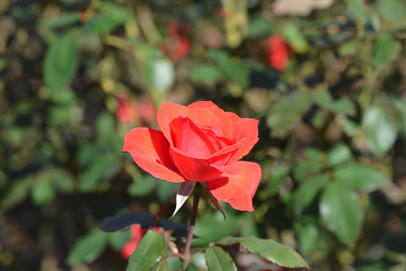 image0148