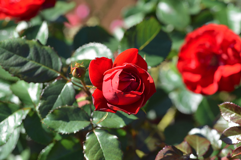 image0152