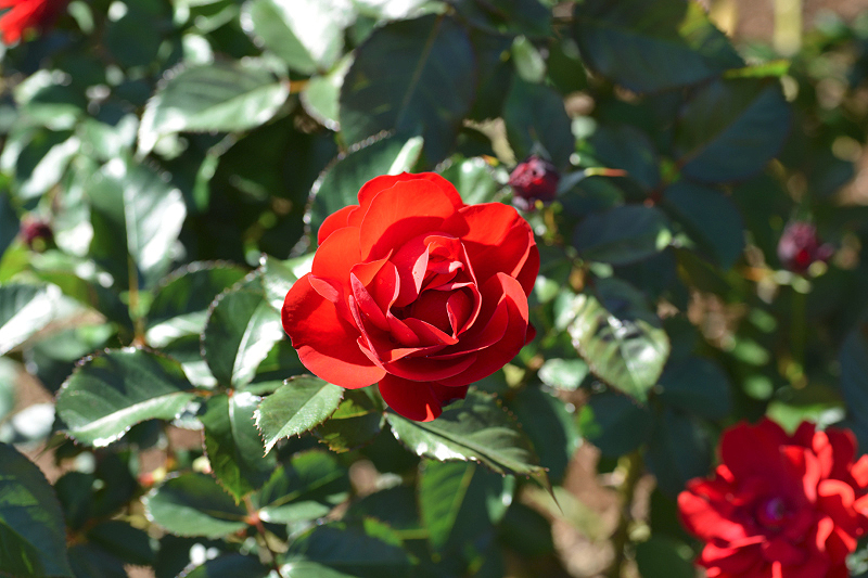 image0154