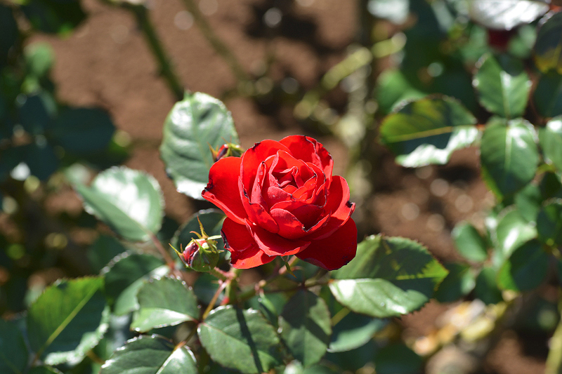image0158