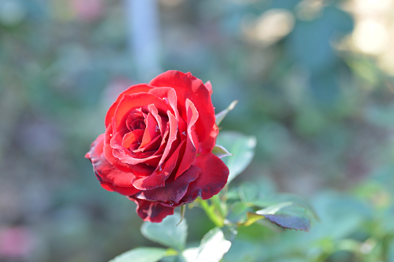 image0170