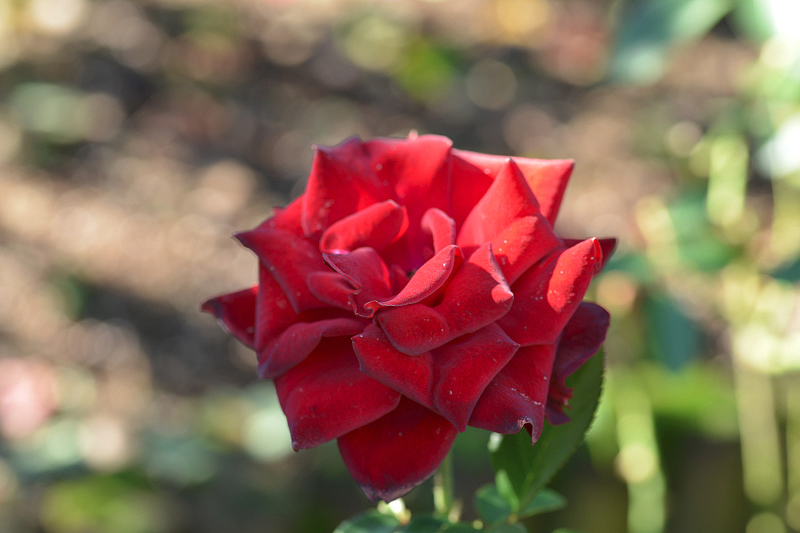 image0171