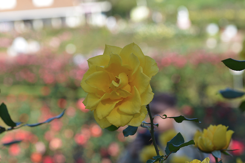 image0172