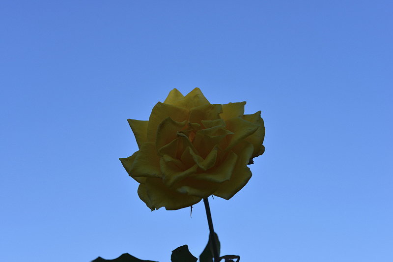 image0173