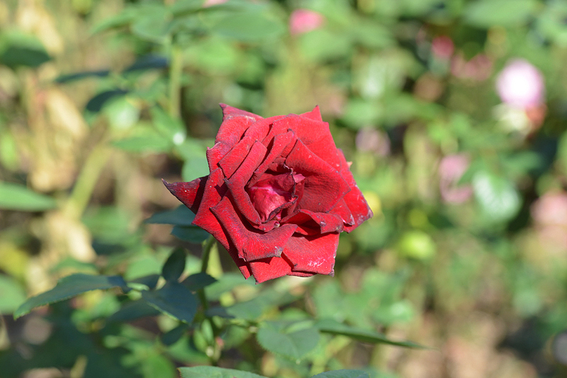 image0175