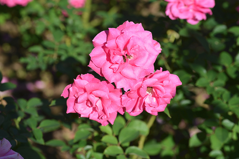 image0176