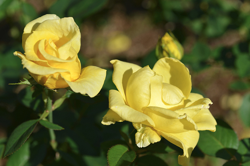 image0178