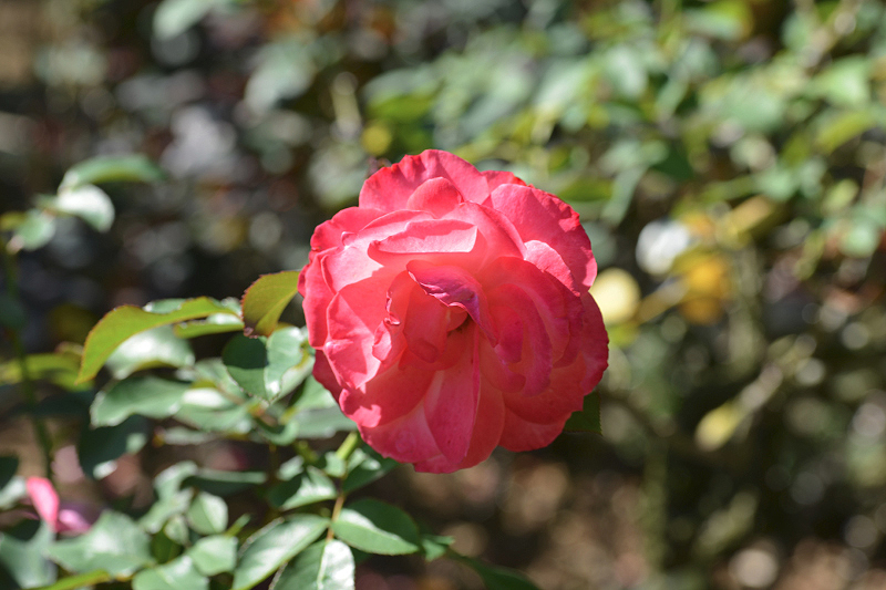 image0182