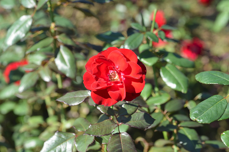 image0184