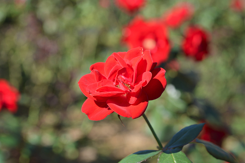 image0185