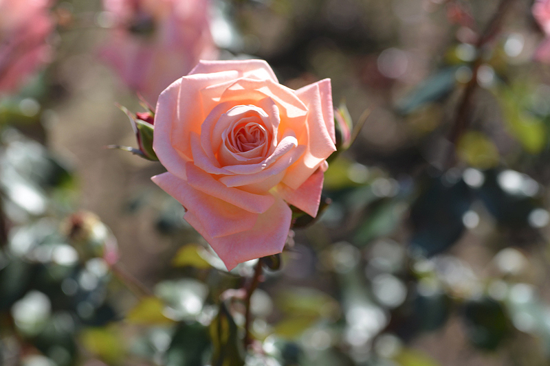 image0193