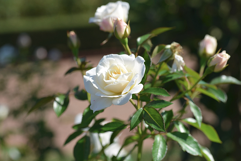 image0202