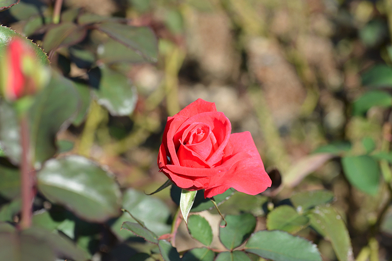 image0214