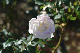 image0129