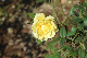 image0133