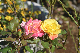 image0134