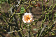 image0135