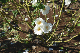 image0136
