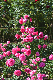 image0137