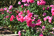 image0138