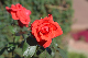 image0140