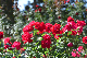 image0141