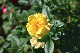 image0144
