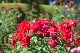 image0145