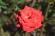 image0146
