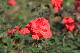 image0147