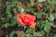 image0148