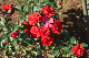 image0149