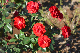 image0151