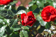 image0152
